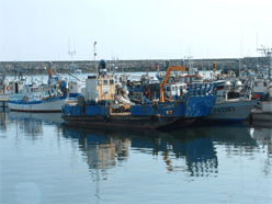 Port pêche la Rochelle
