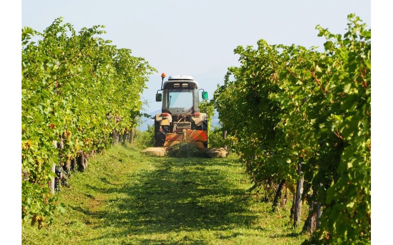 Greenshield lance une nouvelle solution de surveillance agronomique en (…)